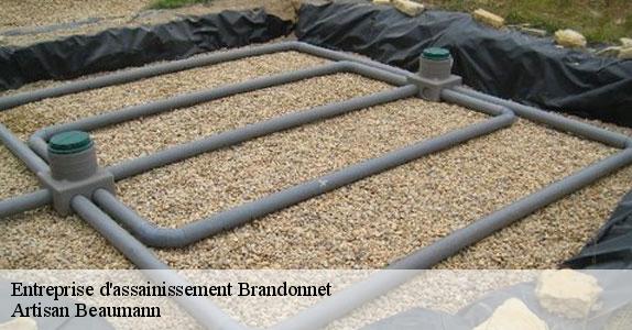 Entreprise d'assainissement  brandonnet-12350 Artisan Beaumann