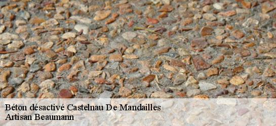 Béton désactivé  12500
