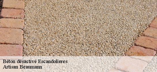 Béton désactivé 12390