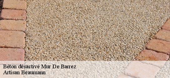 Béton désactivé  12600